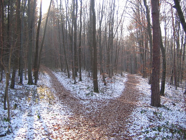 Crossroad
