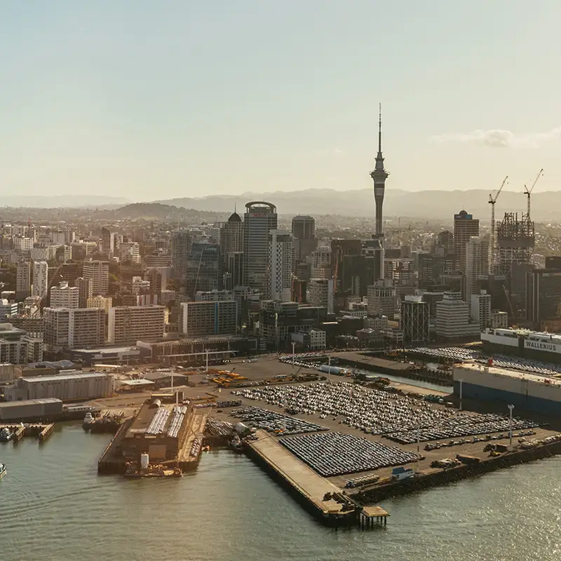 immigration lawyers in Auckland immigration lawyers in Auckland